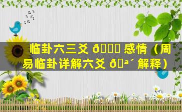 临卦六三爻 🐕 感情（周易临卦详解六爻 🪴 解释）